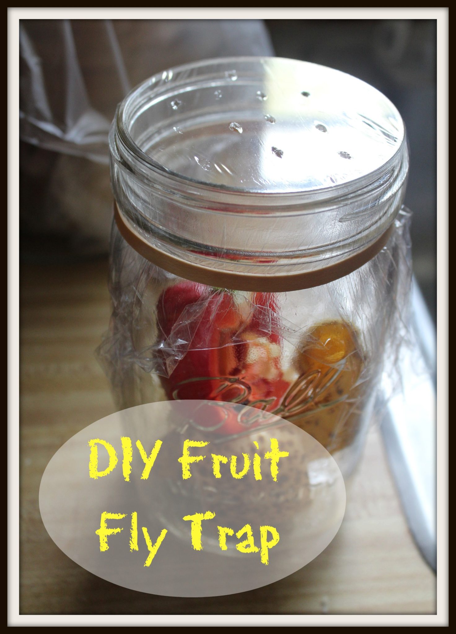 DIY Fruit Fly Trap Family Table Tuesday 11 Revived Kitchen